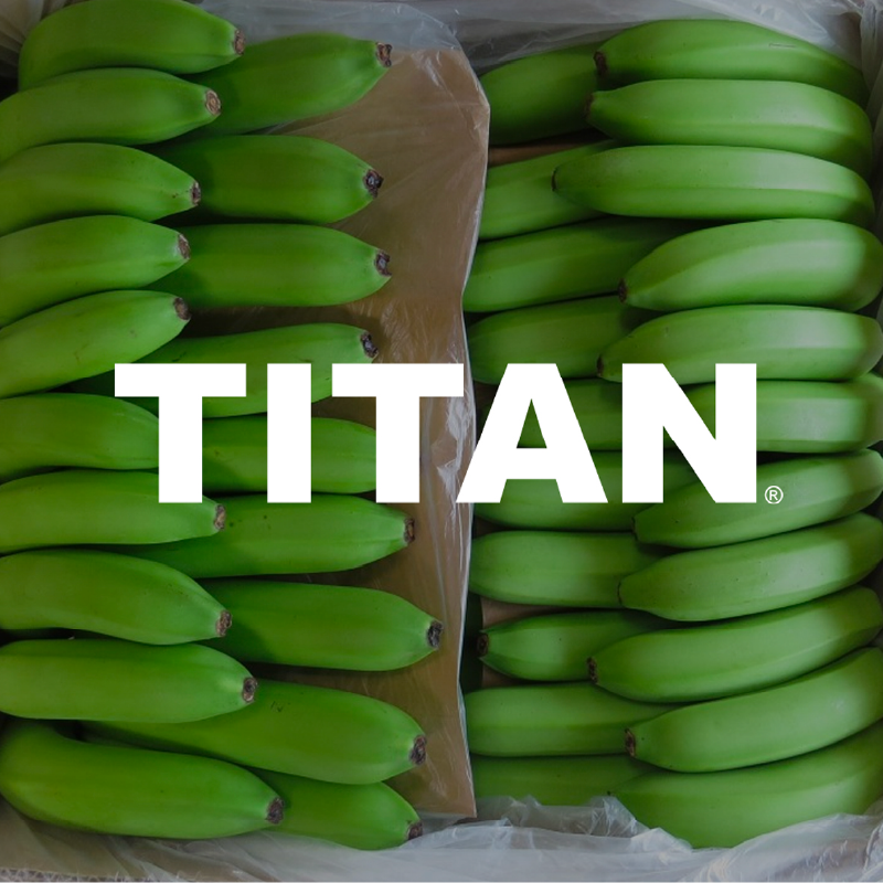 Titan