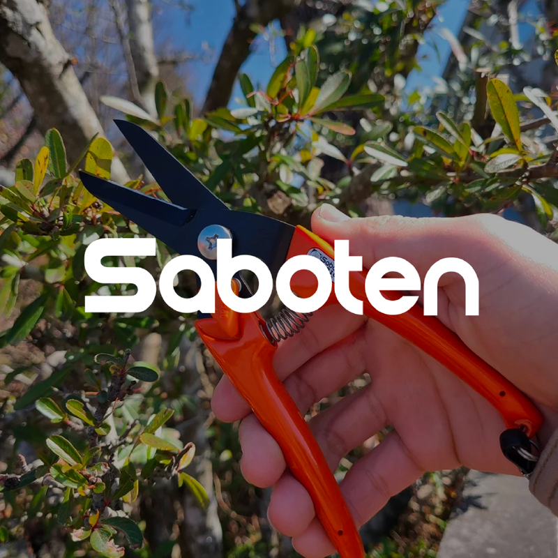 Saboten